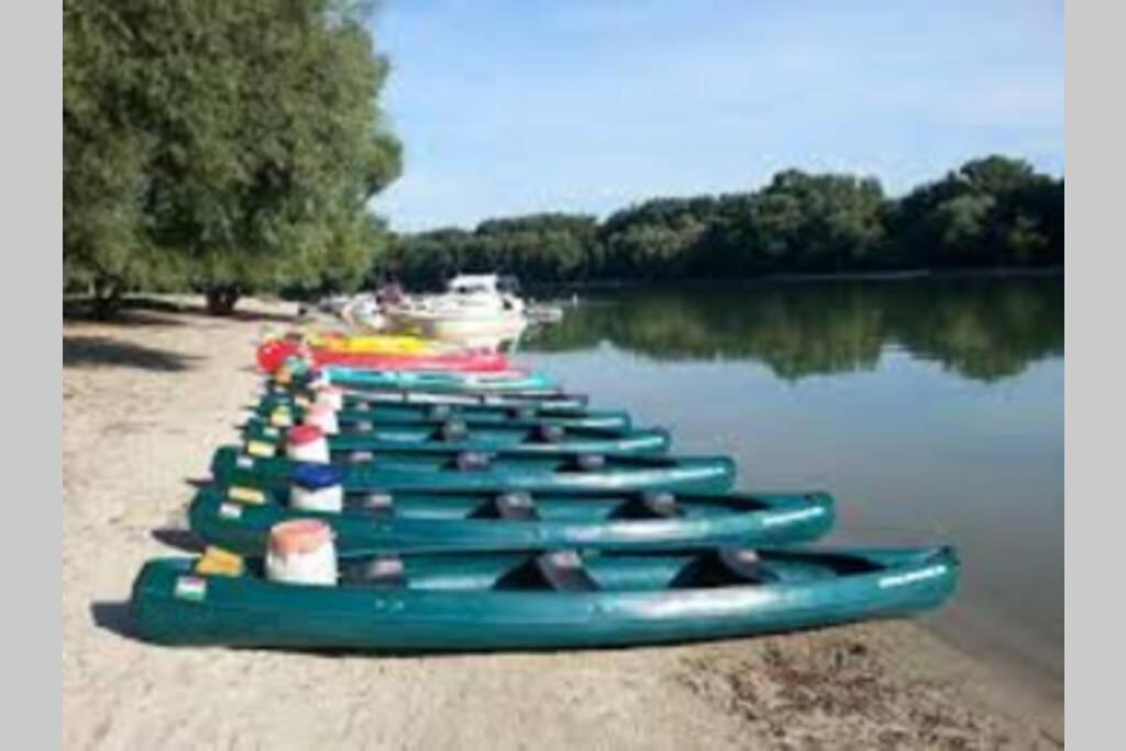 The Pearl Of The Danube Bend - Regina Apartman Dunabogdány Esterno foto