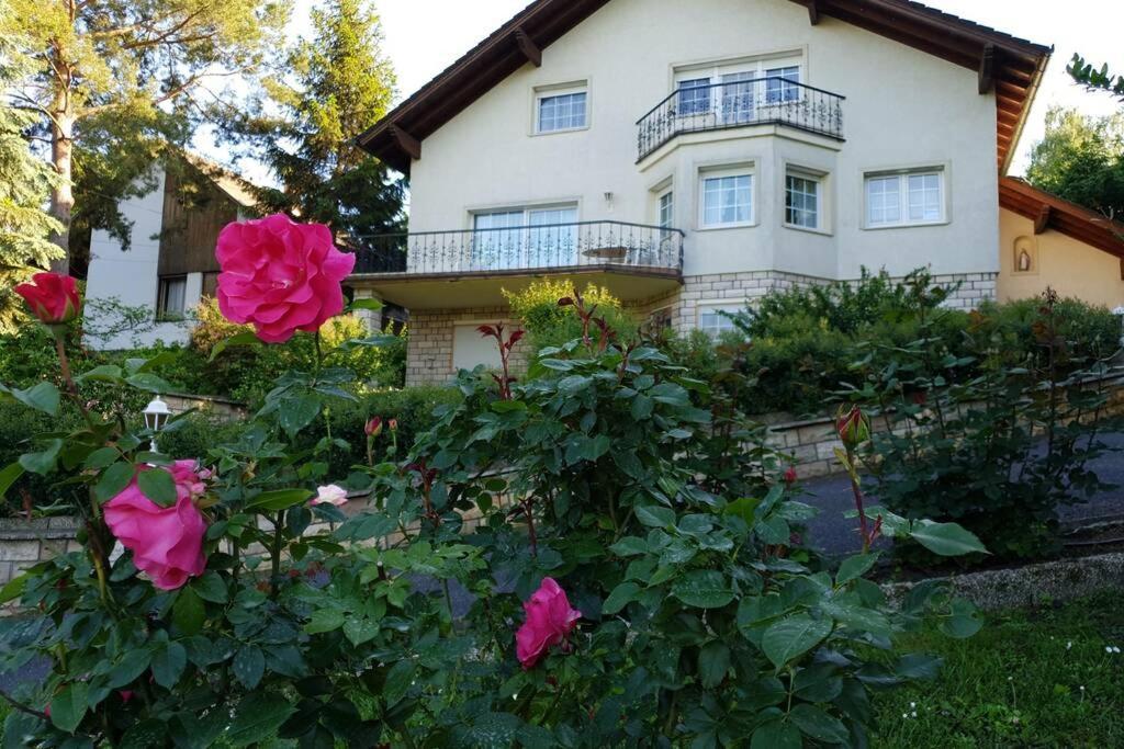 The Pearl Of The Danube Bend - Regina Apartman Dunabogdány Esterno foto