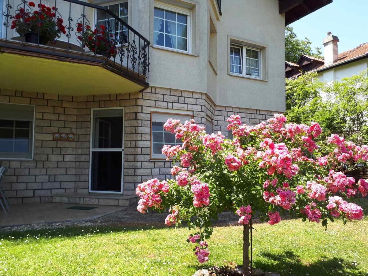 The Pearl Of The Danube Bend - Regina Apartman Dunabogdány Esterno foto