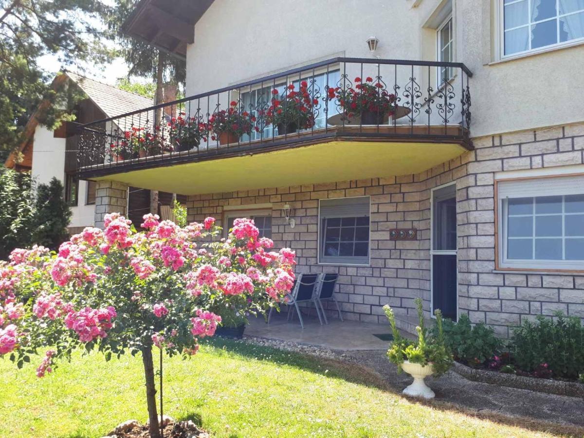 The Pearl Of The Danube Bend - Regina Apartman Dunabogdány Esterno foto